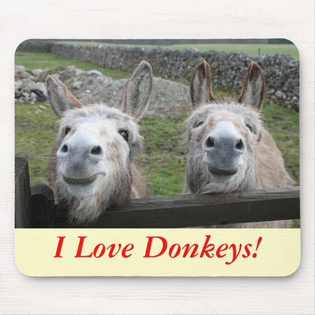Smiling Donkeys! Mouse Pad (Front)