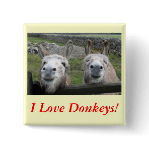 Smiling Donkeys! Pinback Button