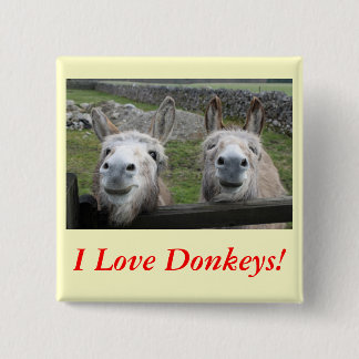 Smiling Donkeys! Pinback Button