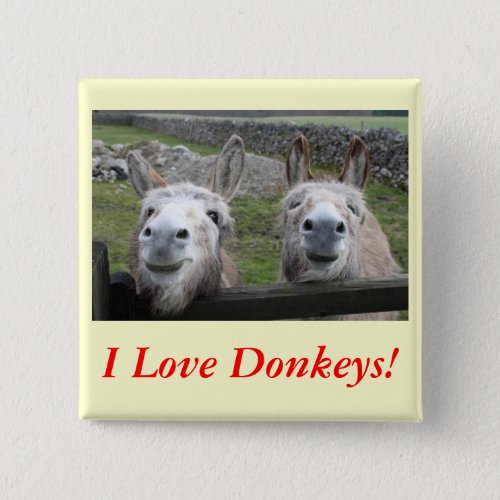 Smiling Donkeys Pinback Button