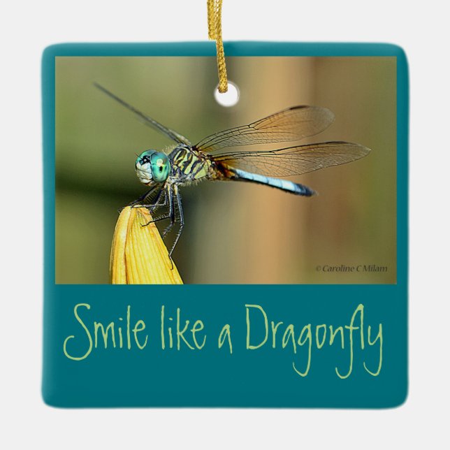 Smiling Dragonfly Ceramic Ornament (Front)