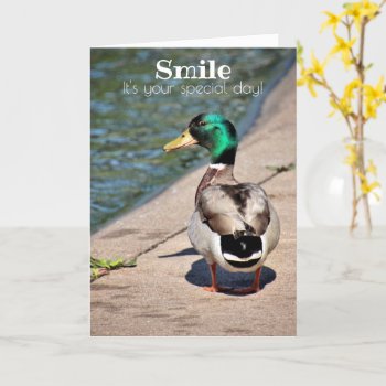 Smiling Duck Birthday Greetings Card by Siberianmom at Zazzle