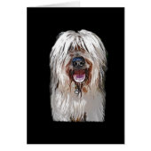 Smiling Fawn Briard (Front)