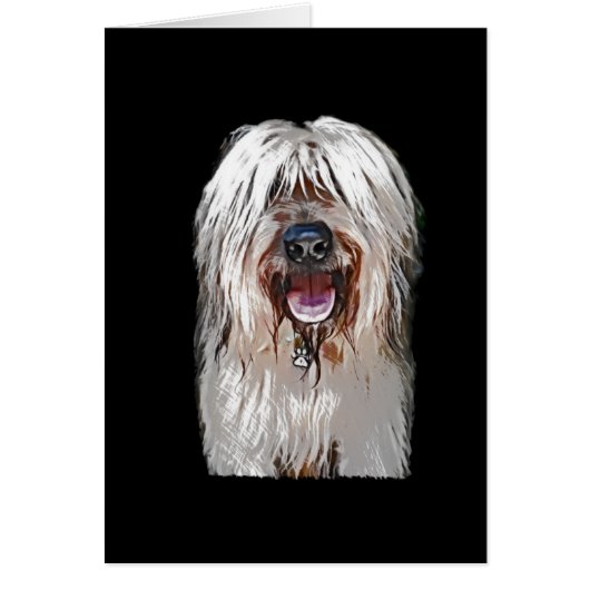 Smiling Fawn Briard Cards (Front)