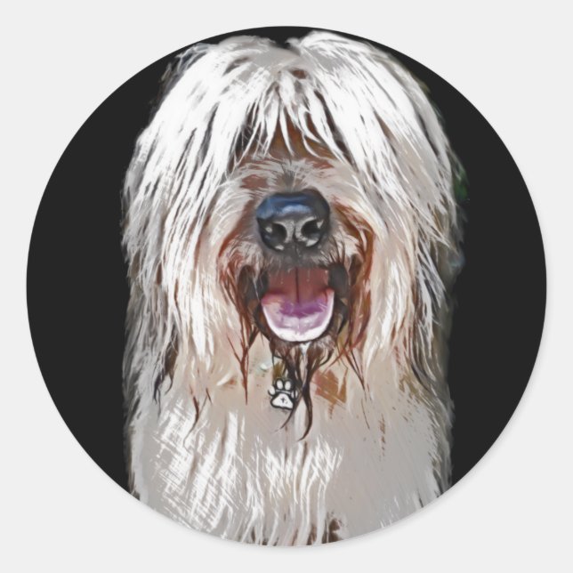 Smiling Fawn Briard Classic Round Sticker (Front)