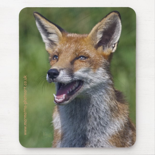 Smiling Fox Mousemat Mouse Pad (Front)