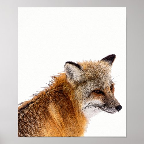 Smiling Fox Poster Art