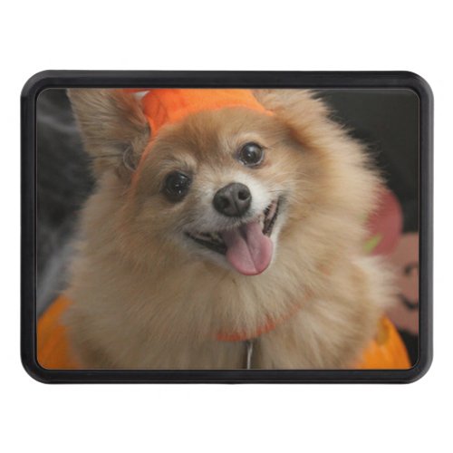 Smiling Foxy Pomeranian Puppy in Pumpkin Halloween Trailer Hitch Cover