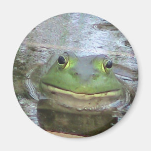 Smiling Frog Face Magnet