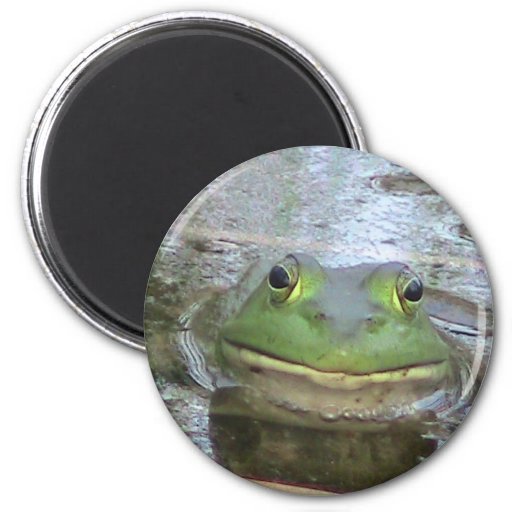 Smiling Frog Face Refrigerator Magnets | Zazzle