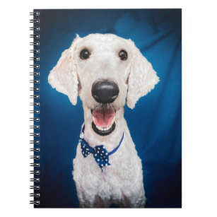 Smiling Funny Poodle Spiral Notebook