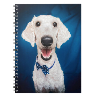 Smiling Funny Poodle Spiral Notebook