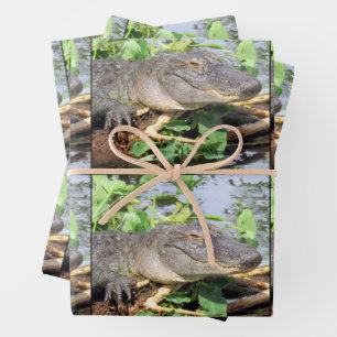 Smiling Gator Wrapping Paper Sheets