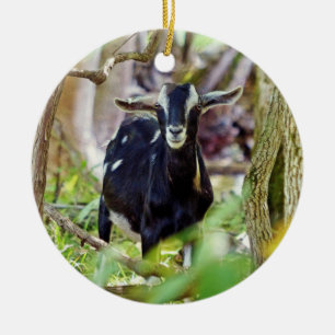 Smiling Goat Ceramic Ornament