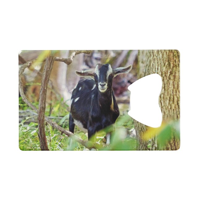 Smiling Goat Credit Card Bottle Opener (Front (Horizontal))