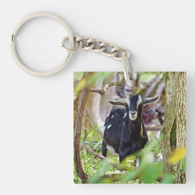 Smiling Goat Keychain (Front)