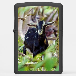 Smiling Goat Zippo Lighter