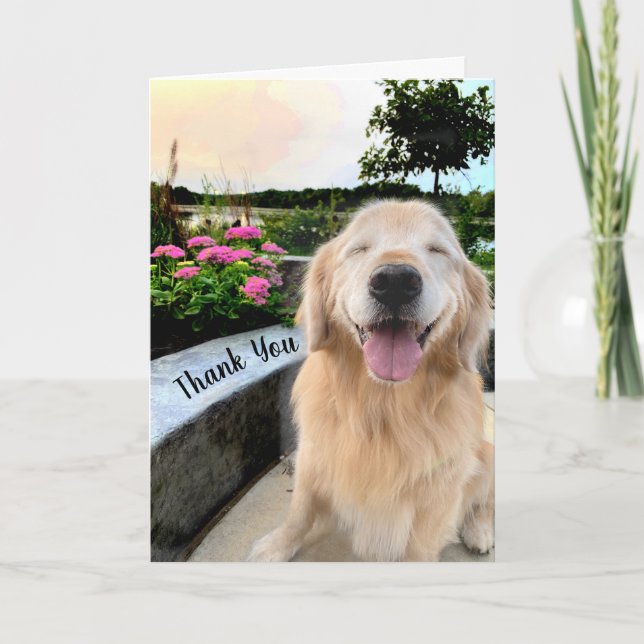 Smiling Golden Retriever at Sunset Thank You Card (Front)