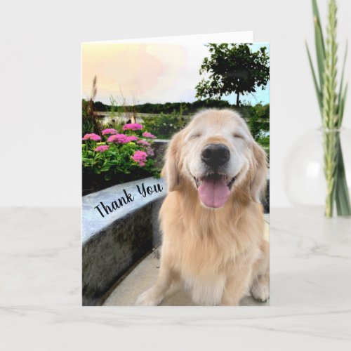 Smiling Golden Retriever at Sunset Thank You Card
