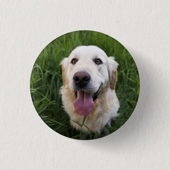 Smiling Golden Retriever Button (Front)