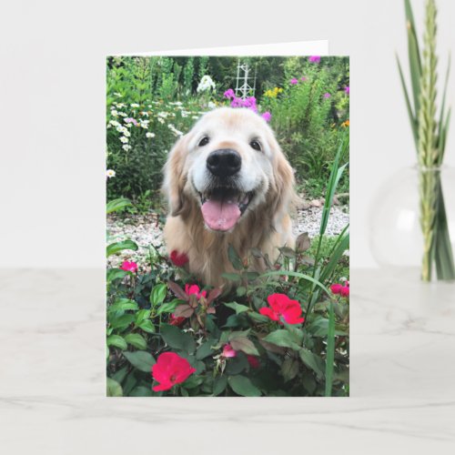 Smiling Golden Retriever Dog Among Flowers Blank Card