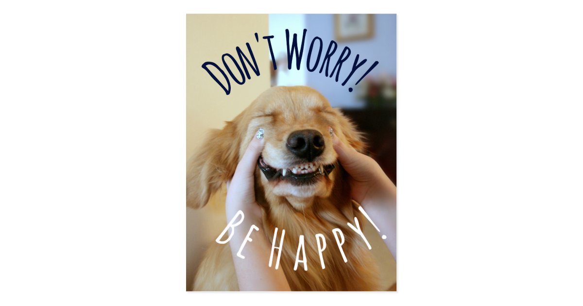 Smiling Golden Retriever Dog Don T Worry Be Happy Postcard Zazzle Com