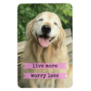 Smiling Golden Retriever Dog Live More Worry Less Magnet
