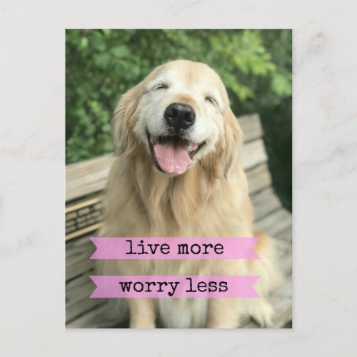 Smiling Golden Retriever Dog Live More Worry Less Postcard