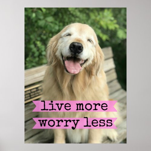 Smiling Golden Retriever Dog Live More Worry Less Poster