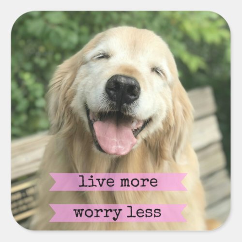 Smiling Golden Retriever Dog Live More Worry Less Square Sticker