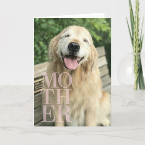 Smiling Golden Retriever Dog Mothers Day Card