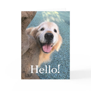 Smiling Golden Retriever Dog Popping Out to Say Hi Card