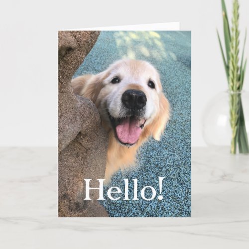 Smiling Golden Retriever Dog Popping Out to Say Hi Card