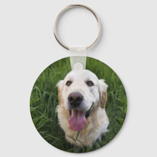 Smiling Golden Retriever  Keychain
