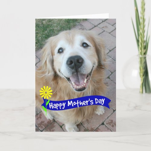 Smiling Golden Retriever Mothers Day Card