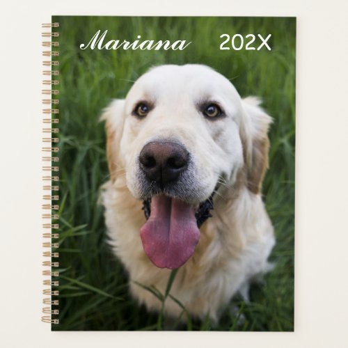 Smiling Golden Retriever   Planner