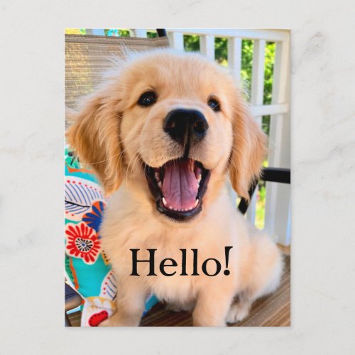 Smiling Golden Retriever Puppy Dog Hello Postcard