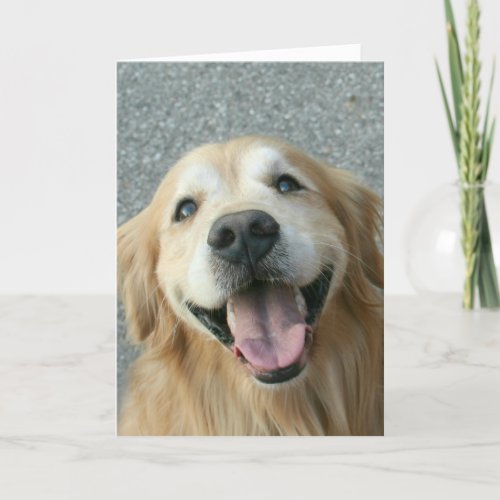 Smiling Golden Retriever Thank You