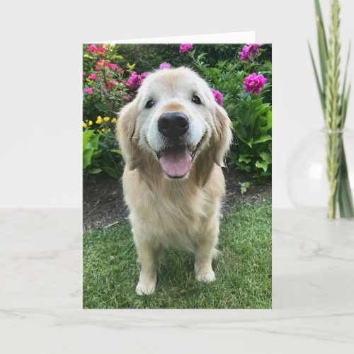 Smiling Golden Retriever with Flowers Thank You Card