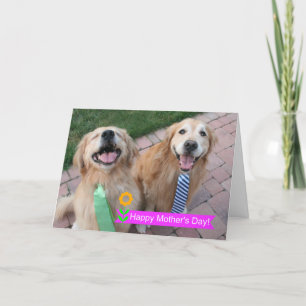 Smiling Golden Retrievers Wearing Ties Mothers Day Card