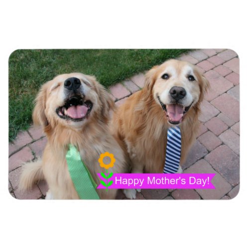 Smiling Golden Retrievers Wearing Ties Mothers Day Magnet