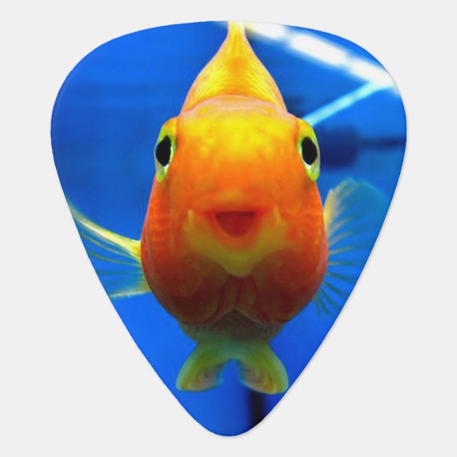 Smiling Goldfish Guitar Pick (Front)