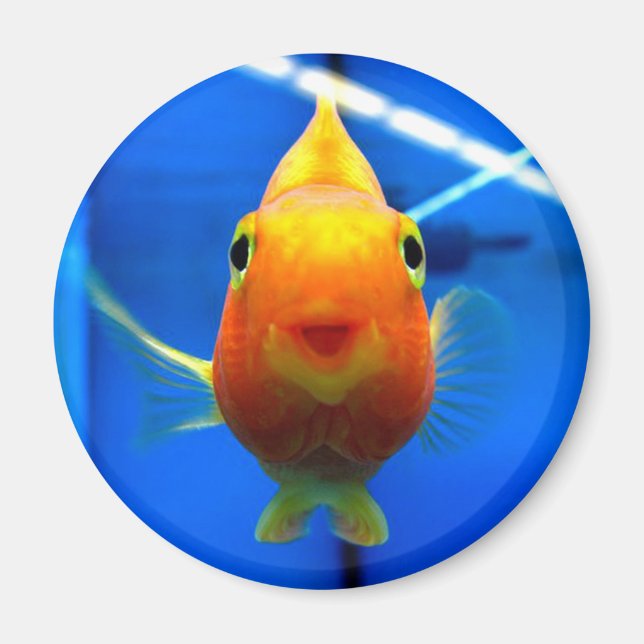 Smiling Goldfish Round Magnet (Front)