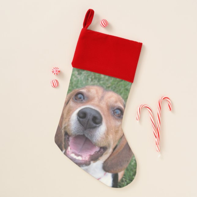 Smiling Happy Face Beagle Pup Christmas Stocking (Front)