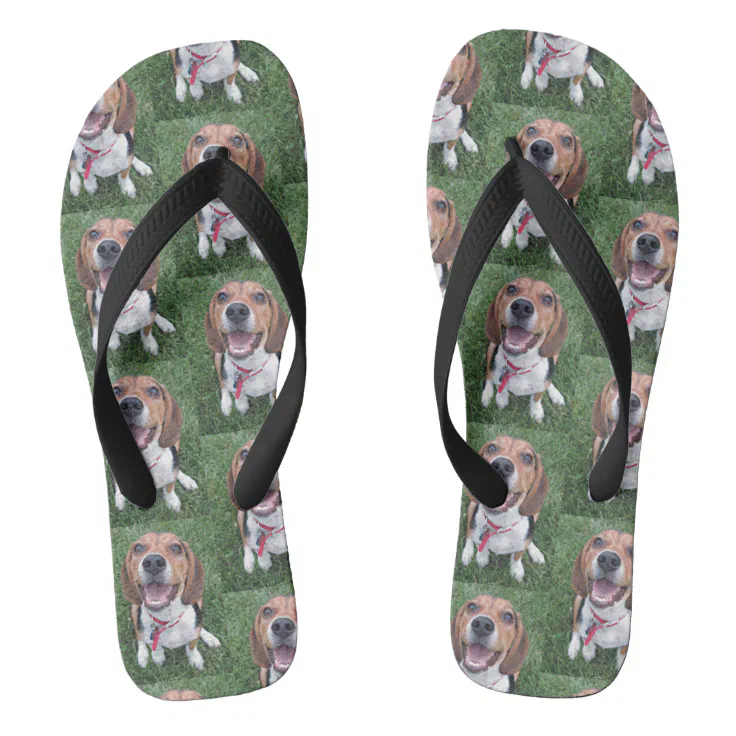 puppy flip flops