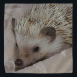 Smiling Hedgehog Bandana<br><div class="desc">This is my hedgehog Rose Flower. She is always happiest when she is curled up in her blanket.</div>