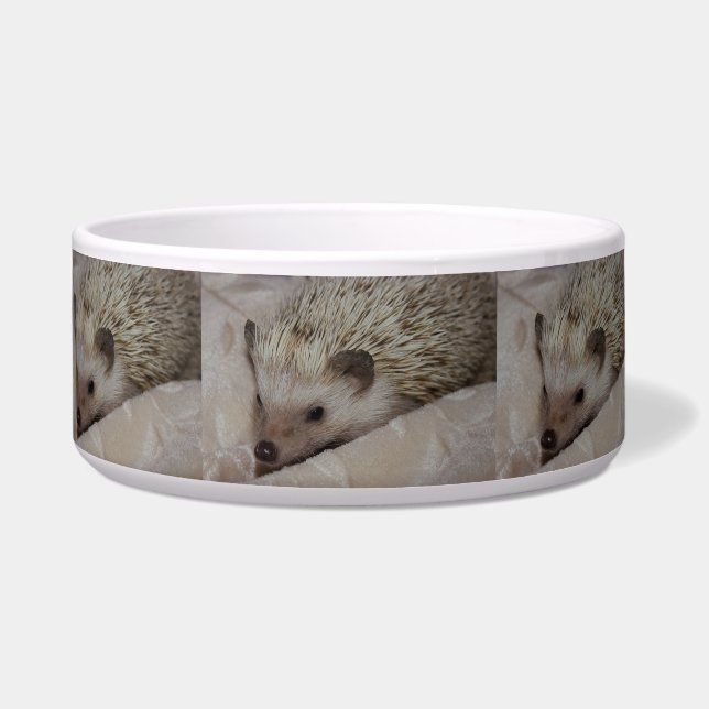 Smiling Hedgehog Bowl (Front)