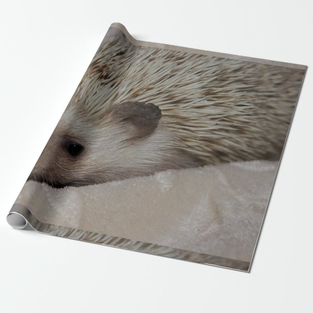 Smiling Hedgehog Wrapping Paper (Unrolled)
