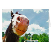 Smiling Horse (Front Horizontal)