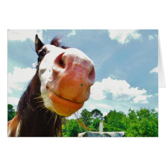 Smiling Horse (Front Horizontal)